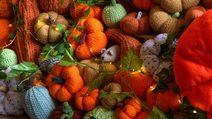 Hundreds of knitted and felt pumpkins are on display at Charlecote Park